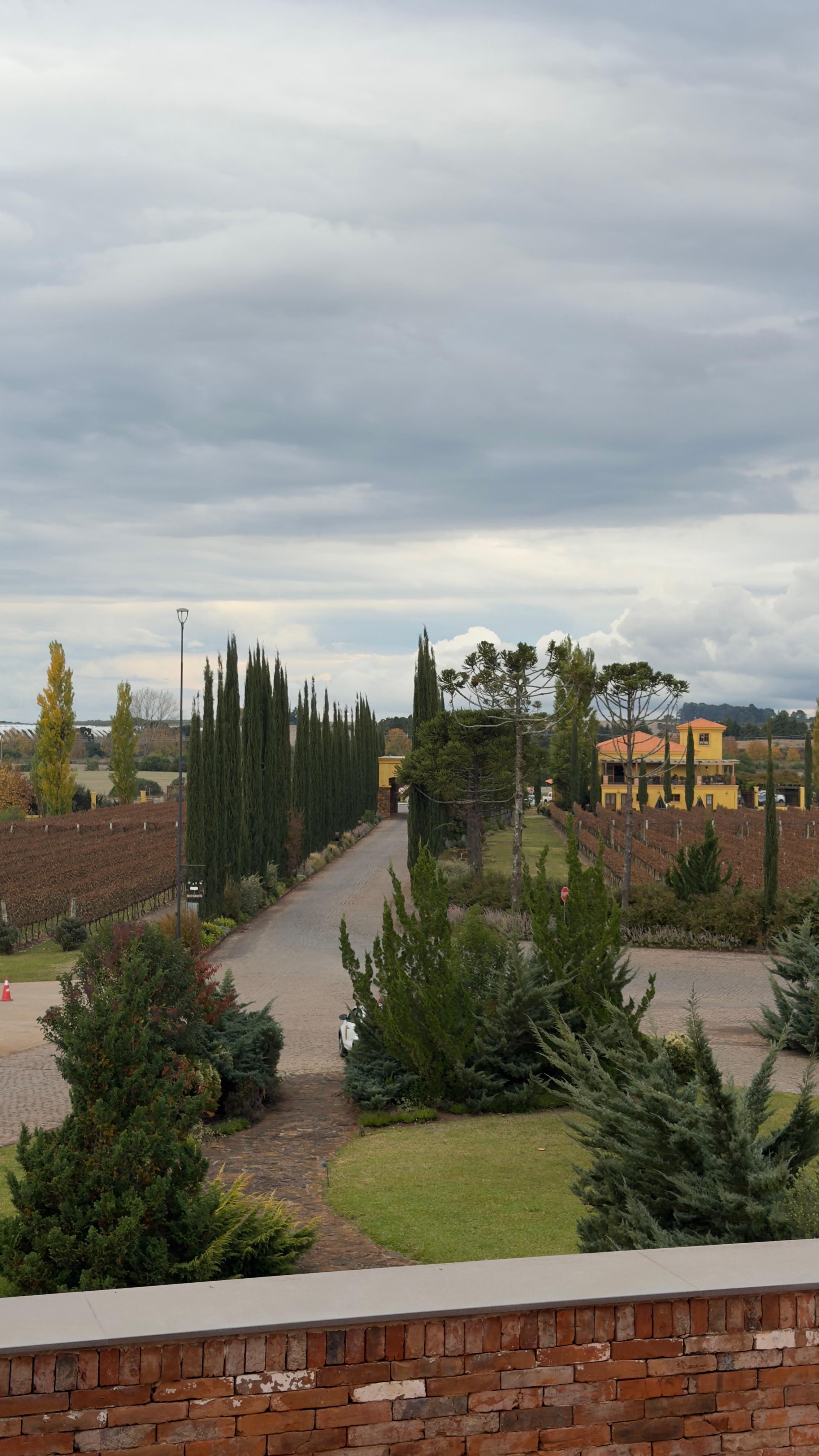 Campos de Cima da Serra